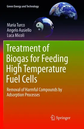 Turco / Micoli / Ausiello |  Treatment of Biogas for Feeding High Temperature Fuel Cells | Buch |  Sack Fachmedien