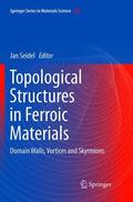 Seidel |  Topological Structures in Ferroic Materials | Buch |  Sack Fachmedien