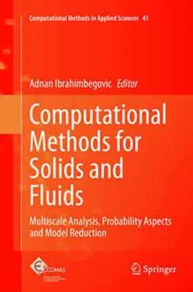 Ibrahimbegovic |  Computational Methods for Solids and Fluids | Buch |  Sack Fachmedien