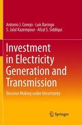 Conejo / Siddiqui / Baringo |  Investment in Electricity Generation and Transmission | Buch |  Sack Fachmedien