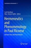 Vallée / Davidson |  Hermeneutics and Phenomenology in Paul Ricoeur | Buch |  Sack Fachmedien