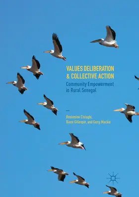 Cislaghi / Mackie / Gillespie |  Values Deliberation and Collective Action | Buch |  Sack Fachmedien
