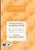 Arora / Bacouel-Jentjens |  International Fragmentation | Buch |  Sack Fachmedien