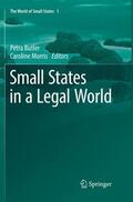 Morris / Butler |  Small States in a Legal World | Buch |  Sack Fachmedien