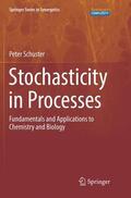 Schuster |  Stochasticity in Processes | Buch |  Sack Fachmedien
