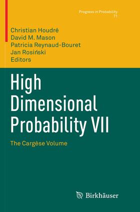 Houdré / Rosinski / Mason |  High Dimensional Probability VII | Buch |  Sack Fachmedien