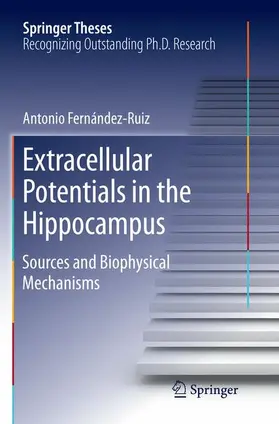Fernández Ruiz |  Extracellular Potentials in the Hippocampus | Buch |  Sack Fachmedien