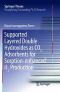Iruretagoyena Ferrer |  Supported Layered Double Hydroxides as CO2 Adsorbents for Sorption-enhanced H2 Production | Buch |  Sack Fachmedien