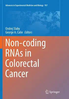 Slaby / Calin | Non-coding RNAs in Colorectal Cancer | Buch | 978-3-319-82491-8 | www.sack.de