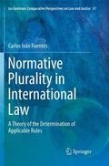 Fuentes |  Normative Plurality in International Law | Buch |  Sack Fachmedien