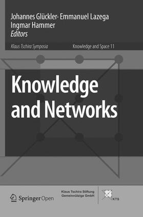Glückler / Hammer / Lazega |  Knowledge and Networks | Buch |  Sack Fachmedien