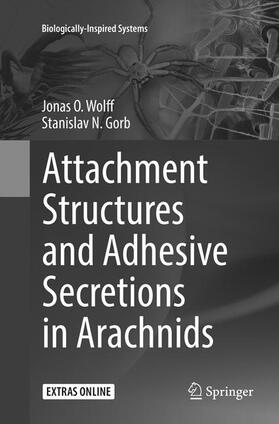 Gorb / Wolff | Attachment Structures and Adhesive Secretions in Arachnids | Buch | 978-3-319-83356-9 | sack.de