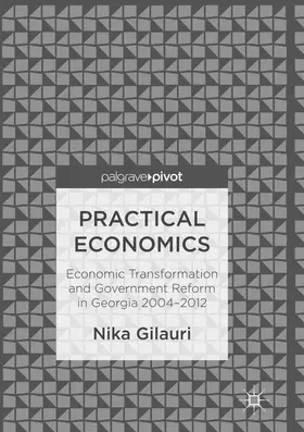 Gilauri |  Practical Economics | Buch |  Sack Fachmedien