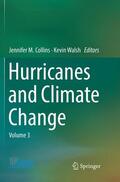 Walsh / Collins |  Hurricanes and Climate Change | Buch |  Sack Fachmedien