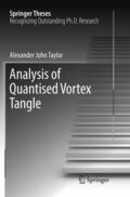 Taylor |  Analysis of Quantised Vortex Tangle | Buch |  Sack Fachmedien