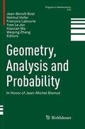 Bost / Hofer / Zhang |  Geometry, Analysis and Probability | Buch |  Sack Fachmedien