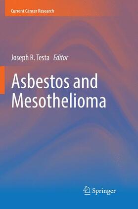 Testa |  Asbestos and Mesothelioma | Buch |  Sack Fachmedien
