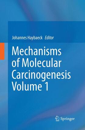 Haybaeck | Mechanisms of Molecular Carcinogenesis ¿ Volume 1 | Buch | 978-3-319-85208-9 | sack.de