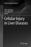 Yin / Ding |  Cellular Injury in Liver Diseases | Buch |  Sack Fachmedien