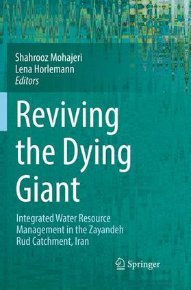 Horlemann / Mohajeri | Reviving the Dying Giant | Buch | 978-3-319-85521-9 | sack.de