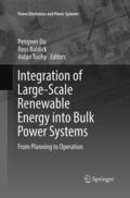 Du / Tuohy / Baldick |  Integration of Large-Scale Renewable Energy into Bulk Power Systems | Buch |  Sack Fachmedien