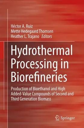 Ruiz / Trajano / Hedegaard Thomsen |  Hydrothermal Processing in Biorefineries | Buch |  Sack Fachmedien