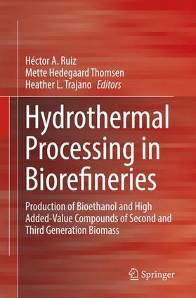 Ruiz / Trajano / Hedegaard Thomsen | Hydrothermal Processing in Biorefineries | Buch | 978-3-319-85916-3 | sack.de