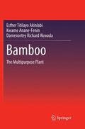 Akinlabi / Akwada / Anane-Fenin |  Bamboo | Buch |  Sack Fachmedien