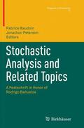 Peterson / Baudoin |  Stochastic Analysis and Related Topics | Buch |  Sack Fachmedien
