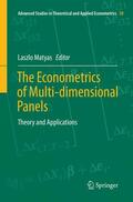 Matyas |  The Econometrics of Multi-dimensional Panels | Buch |  Sack Fachmedien