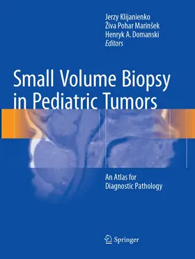 Klijanienko / Domanski / Pohar Marinšek |  Small Volume Biopsy in Pediatric Tumors | Buch |  Sack Fachmedien