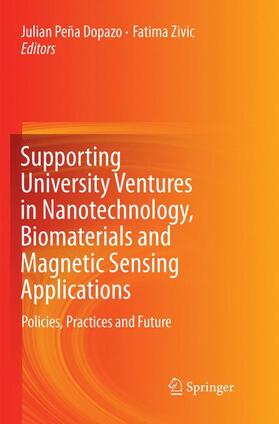 Zivic / Peña Dopazo | Supporting University Ventures in Nanotechnology, Biomaterials and Magnetic Sensing Applications | Buch | sack.de