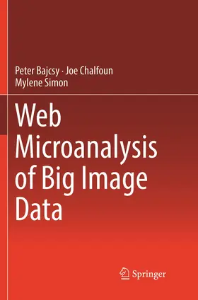 Bajcsy / Simon / Chalfoun |  Web Microanalysis of Big Image Data | Buch |  Sack Fachmedien