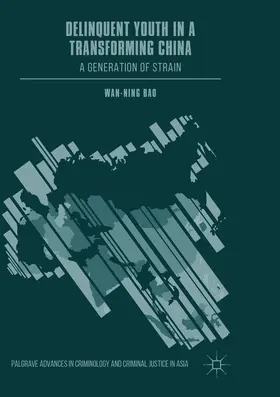 Bao |  Delinquent Youth in a Transforming China | Buch |  Sack Fachmedien