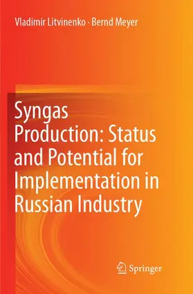 Meyer / Litvinenko |  Syngas Production: Status and Potential for Implementation in Russian Industry | Buch |  Sack Fachmedien