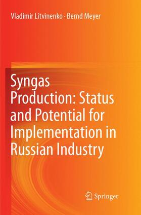 Meyer / Litvinenko | Syngas Production: Status and Potential for Implementation in Russian Industry | Buch | 978-3-319-89022-7 | sack.de