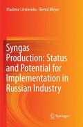 Meyer / Litvinenko |  Syngas Production: Status and Potential for Implementation in Russian Industry | Buch |  Sack Fachmedien
