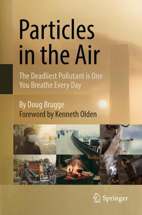 Brugge |  Particles in the Air | Buch |  Sack Fachmedien