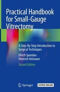 Heimann / Spandau |  Practical Handbook for Small-Gauge Vitrectomy | Buch |  Sack Fachmedien