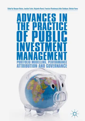 Bulusu / Coche / Yanou |  Advances in the Practice of Public Investment Management | Buch |  Sack Fachmedien