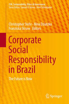 Stehr / Dziatzko / Struve | Corporate Social Responsibility in Brazil | E-Book | sack.de