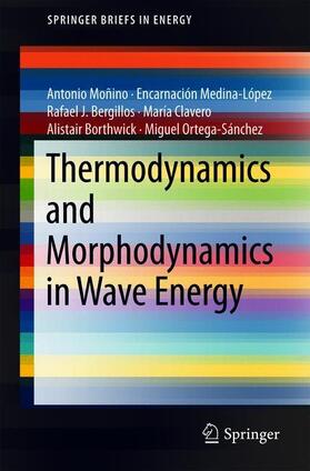 Moñino / Medina-López / Bergillos | Thermodynamics and Morphodynamics in Wave Energy | Buch | 978-3-319-90700-0 | sack.de