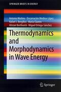 Moñino / Medina-López / Bergillos |  Thermodynamics and Morphodynamics in Wave Energy | Buch |  Sack Fachmedien