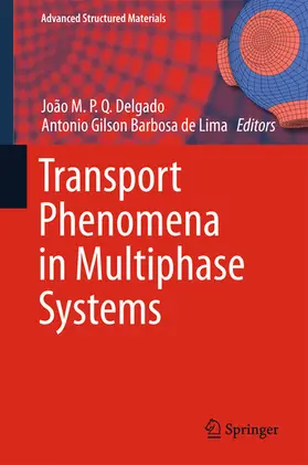 Delgado / Barbosa de Lima | Transport Phenomena in Multiphase Systems | E-Book | sack.de