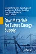 Wellmer / Buchholz / Gutzmer |  Raw Materials for Future Energy Supply | eBook | Sack Fachmedien