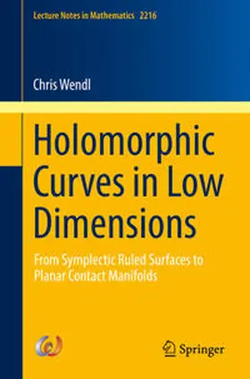 Wendl | Holomorphic Curves in Low Dimensions | E-Book | sack.de