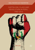 Lust |  Capitalism, Class and Revolution in Peru, 1980-2016 | eBook | Sack Fachmedien