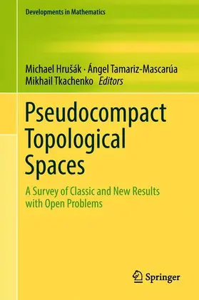 Hrušák / Tkachenko / Tamariz-Mascarúa |  Pseudocompact Topological Spaces | Buch |  Sack Fachmedien