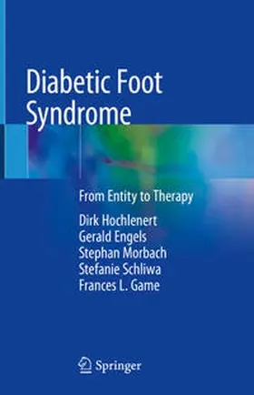 Hochlenert / Engels / Game | Diabetic Foot Syndrome | Buch | 978-3-319-92054-2 | sack.de
