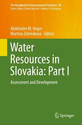 Zelenáková / Negm / Zelenáková |  Water Resources in Slovakia: Part I | Buch |  Sack Fachmedien